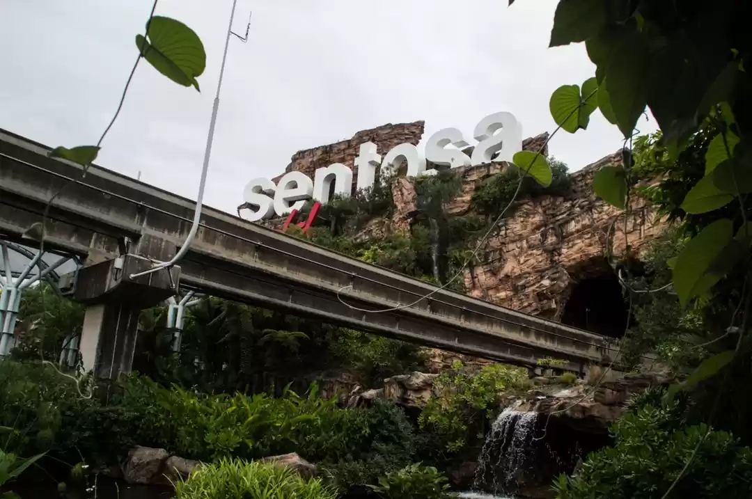 Photo of Top 5 things to do i