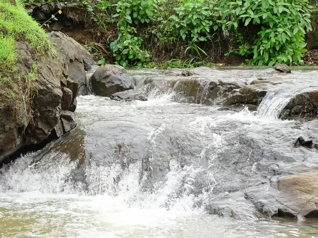 Photo of Virar - monsoon offr