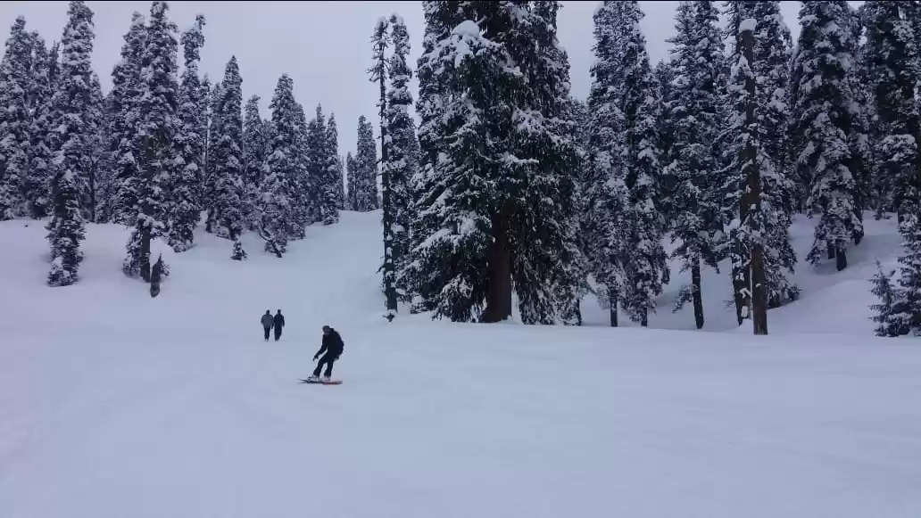 Photo of A skiing blunder in