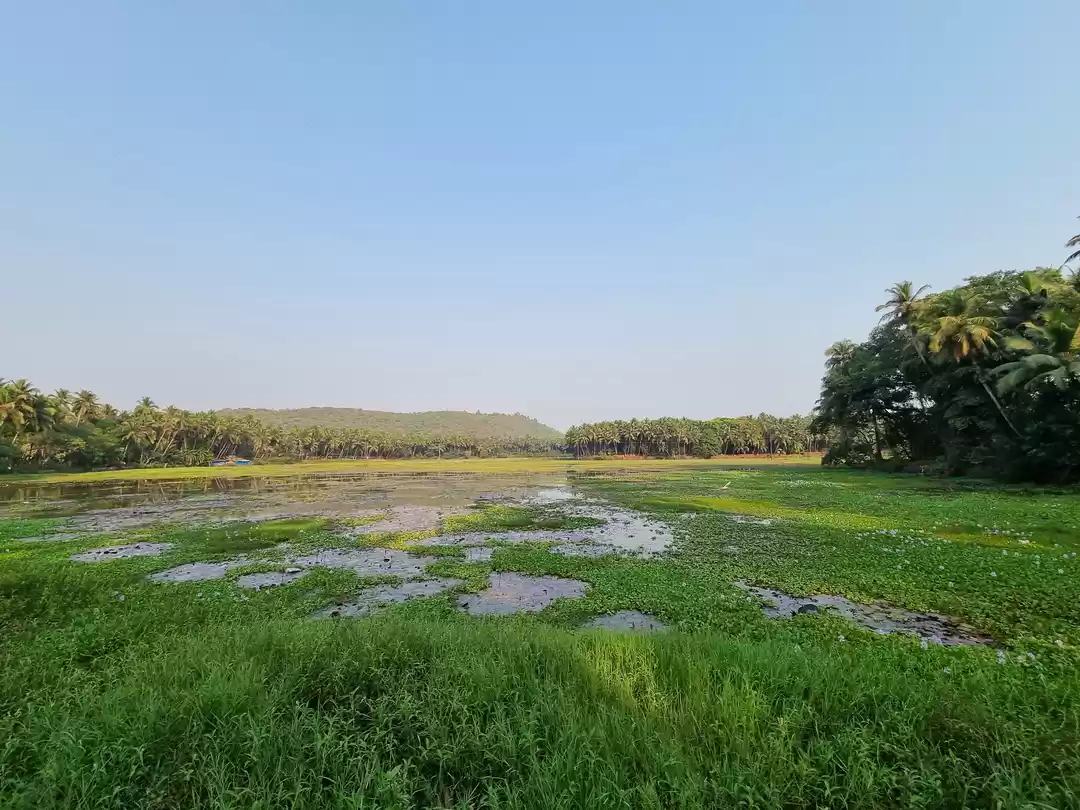 Photo of Pale Lake: A Serene