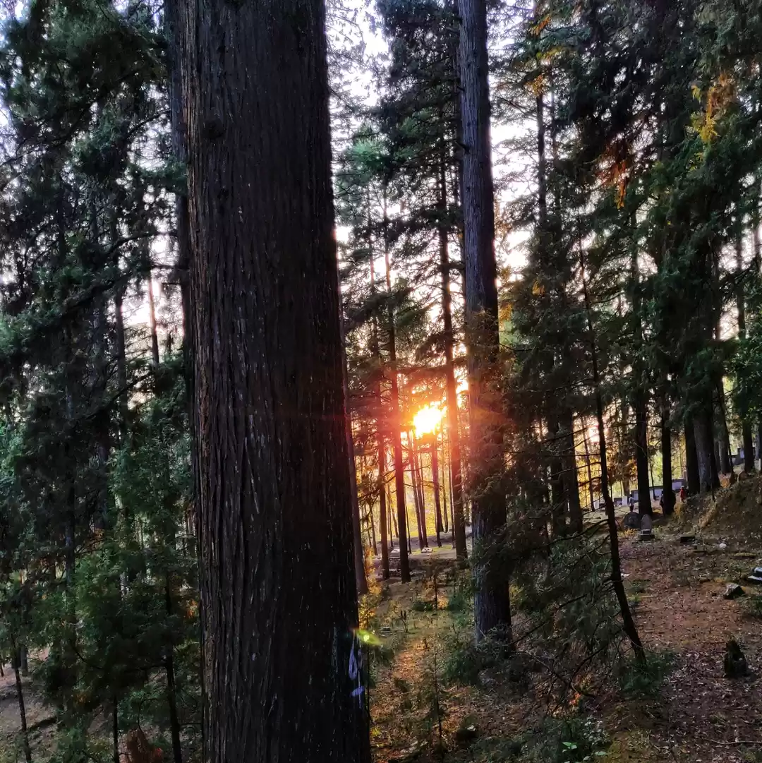 Photo of Exploring the few un