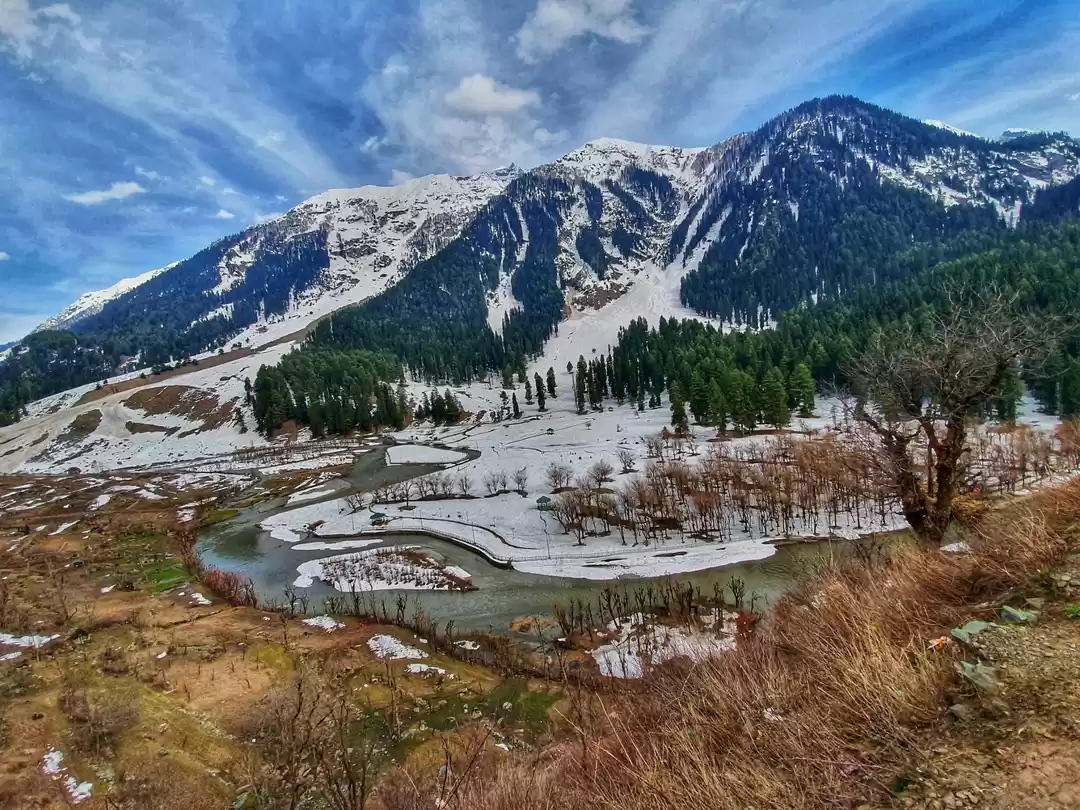 Photo of I wanna go back to w