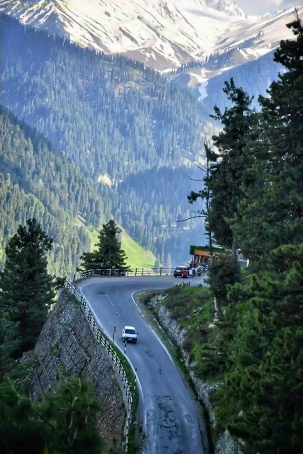 Photo of Paradise Kashmir Bud