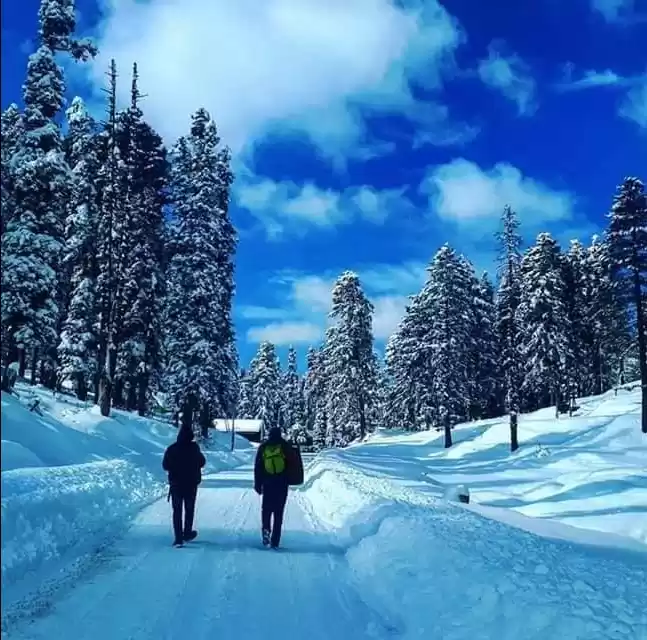 Photo of Winter Wonderland 'K