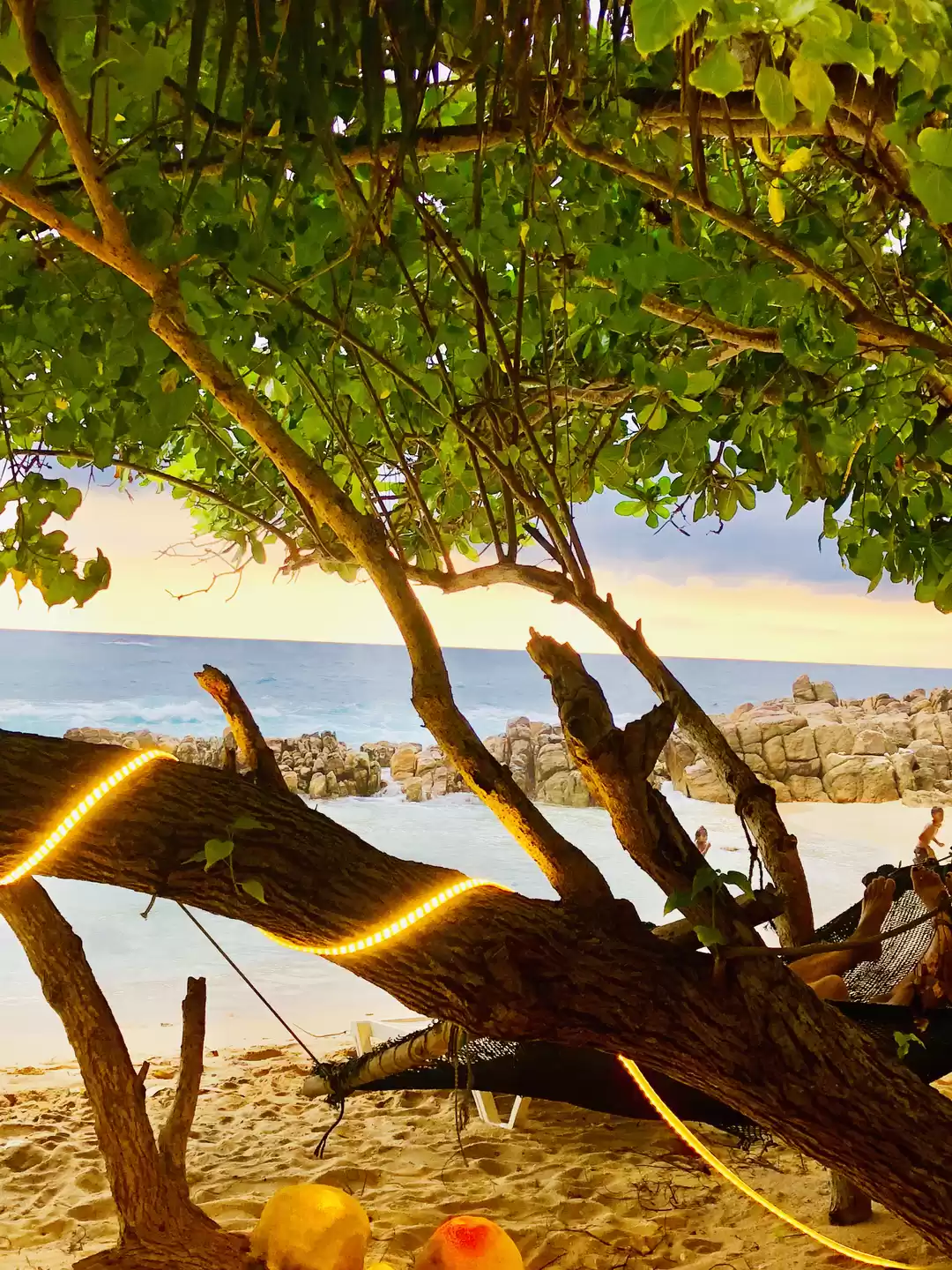 Photo of The Best Beach in Sr