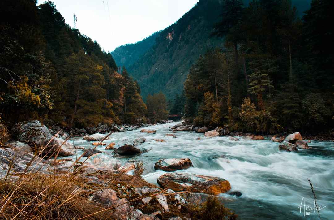 Backpacking Trip To Indias Mini Israel Parvati Valley Kasol Kalga Pulga Tosh Tripoto An ecofriendly peaceful resort in the heart of kalga village in himachal pradesh. kasol kalga pulga tosh