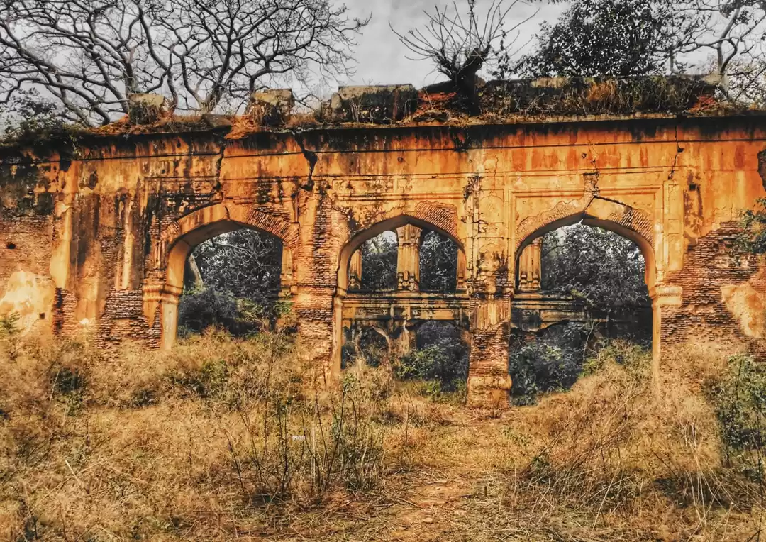 Photo of The Fort of Jasrota,