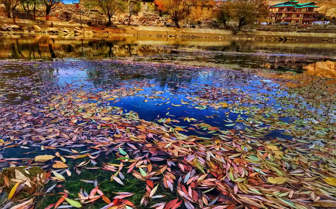 Photo of Welcome to Dr. Chick