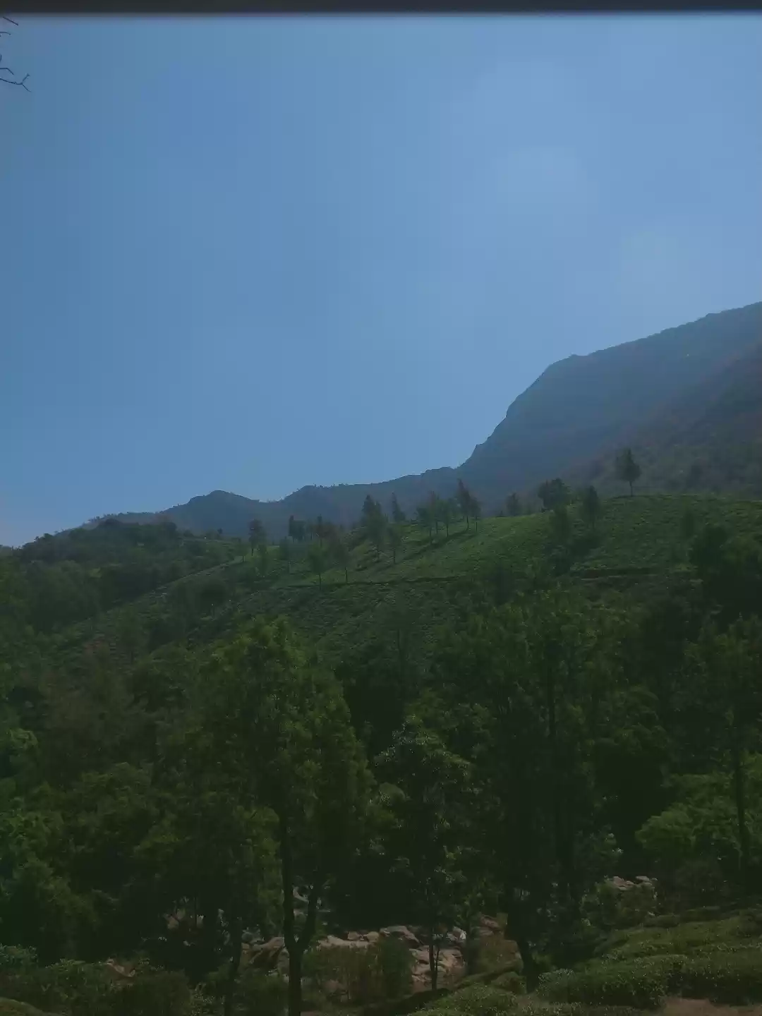 Photo of Munnar ♥️ An unforge
