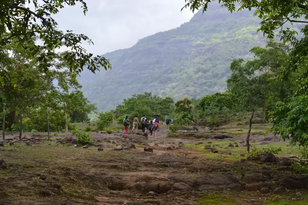 Photo of Trek To The Mystic J