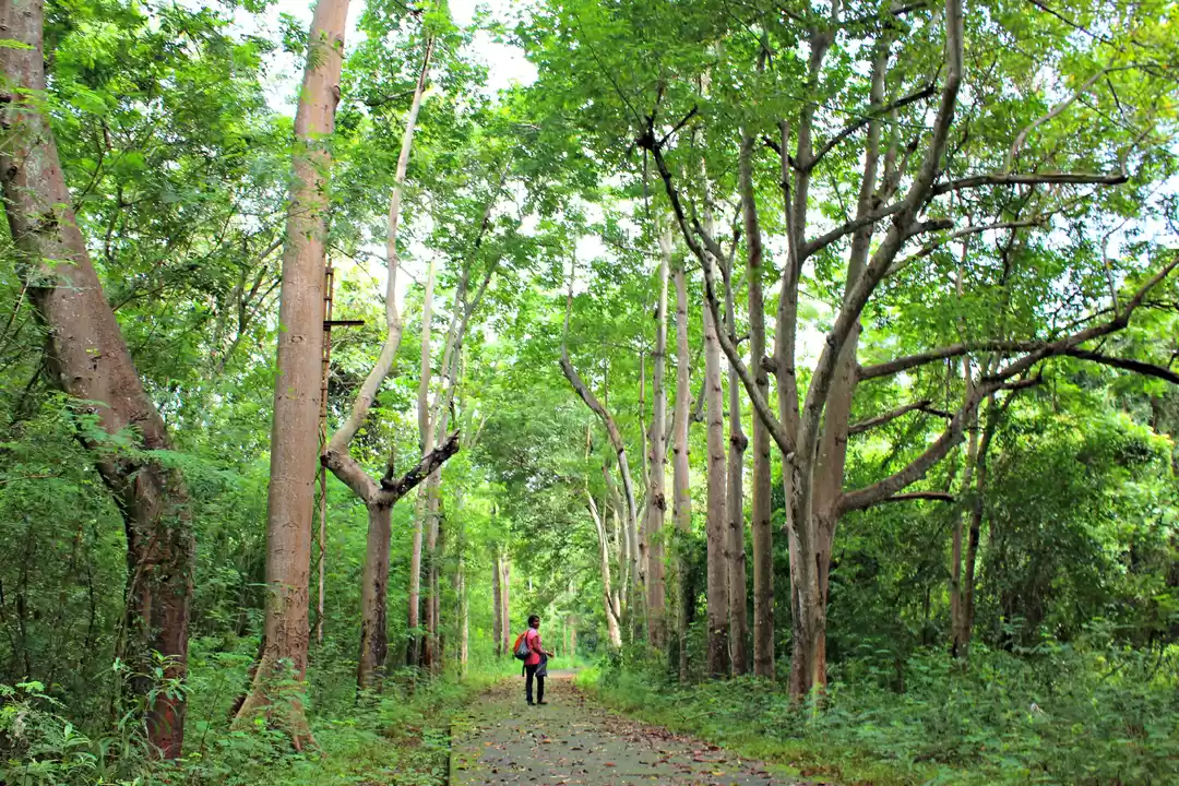 Photo of Tomb raiding at Uday