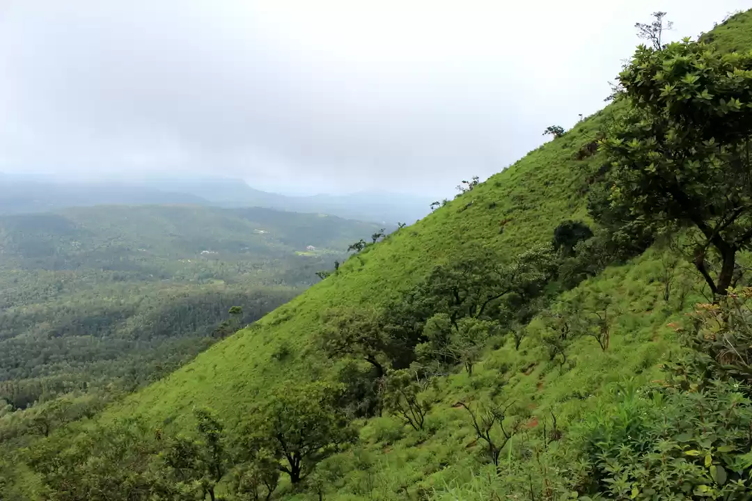 Photo of Solo travller at Cof