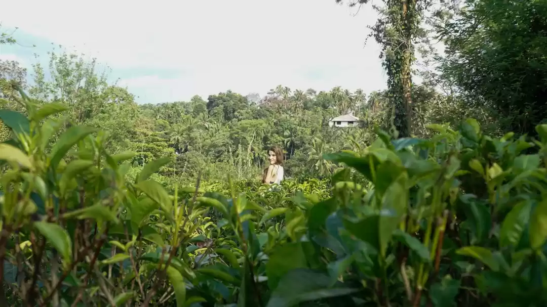 Photo of Sri lanka : Kandy