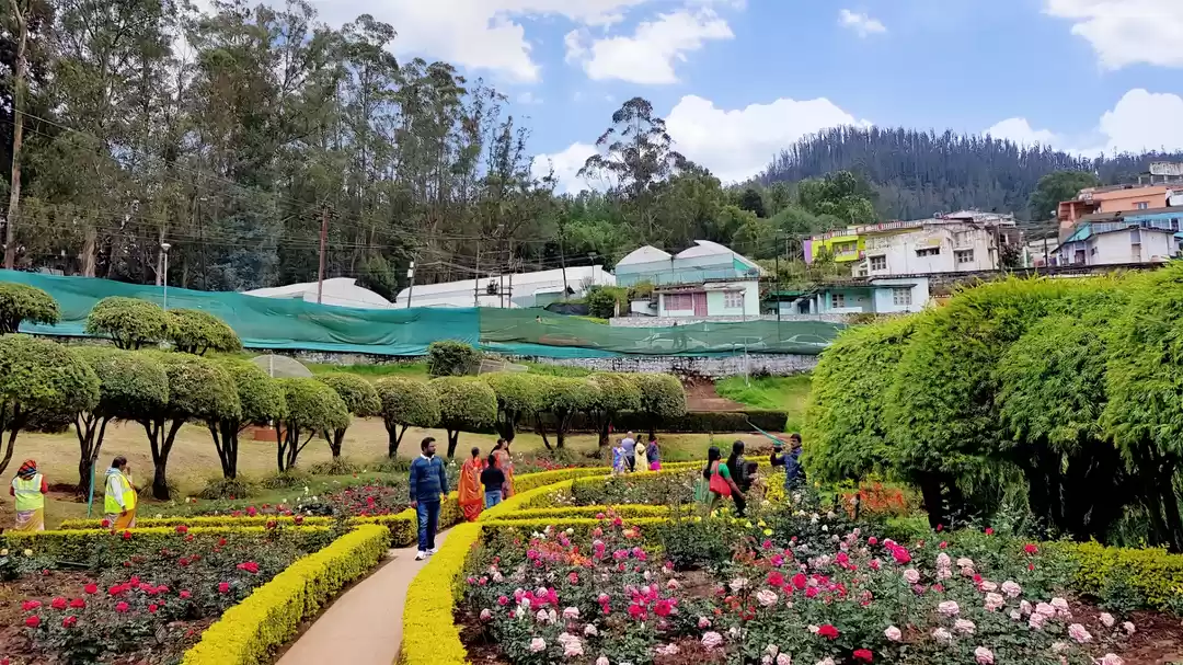 Photo of Ooty Rose Garden