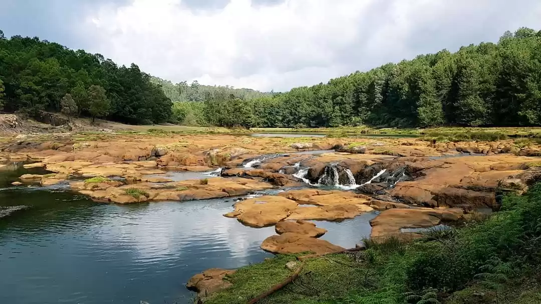 Photo of Pykara Lake, Ooty