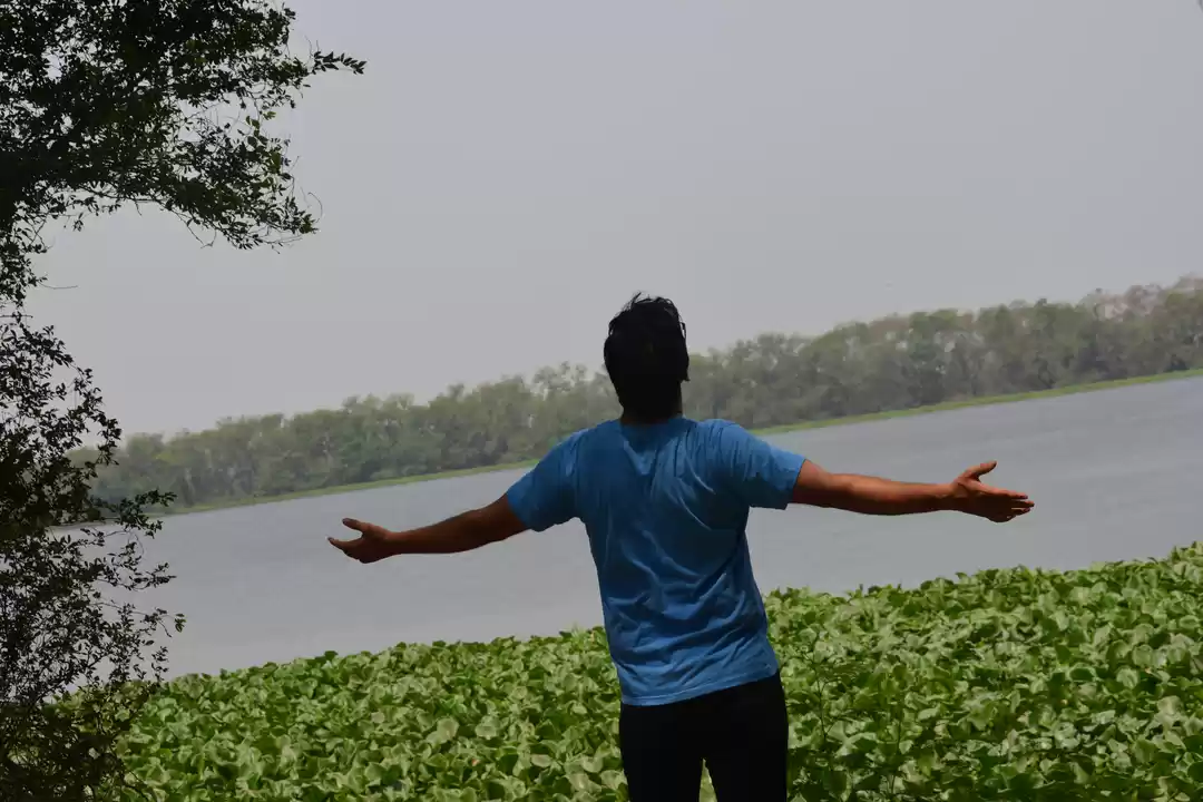 Photo of Bird Watching at Okh