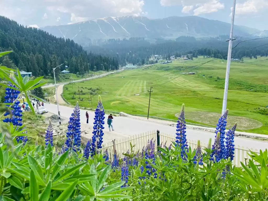 Photo of Kashmir, a slice of 