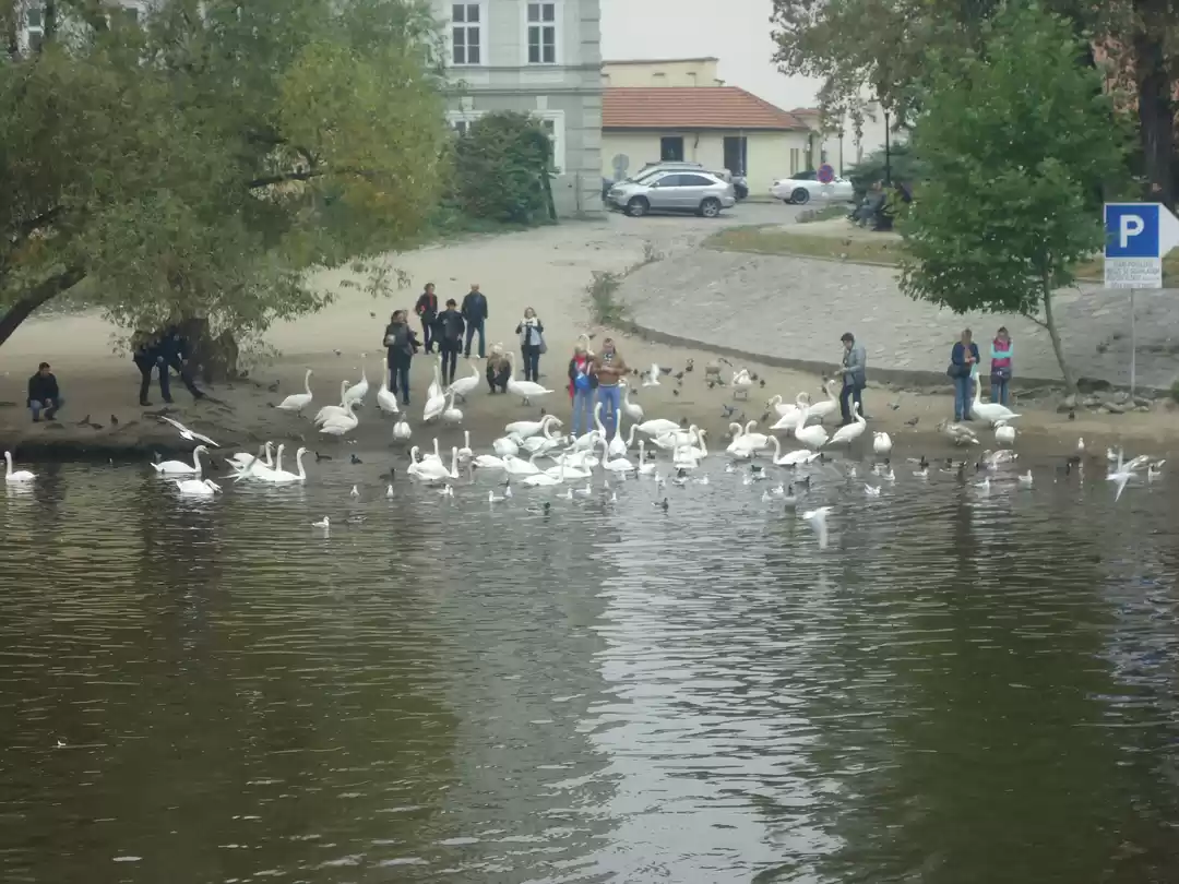 Photo of Magnificent Prague