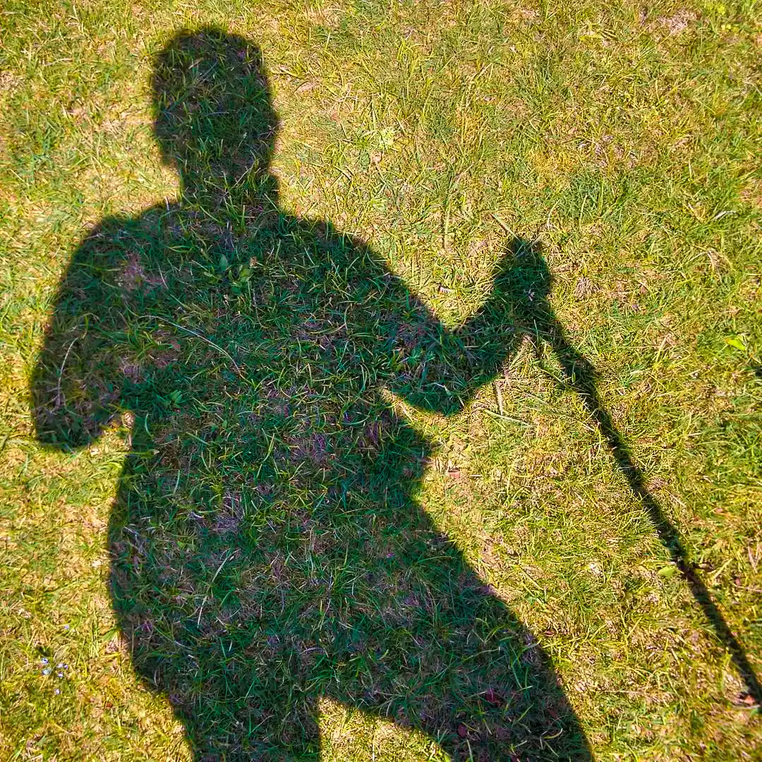 Photo of Baby Steps on the Hi