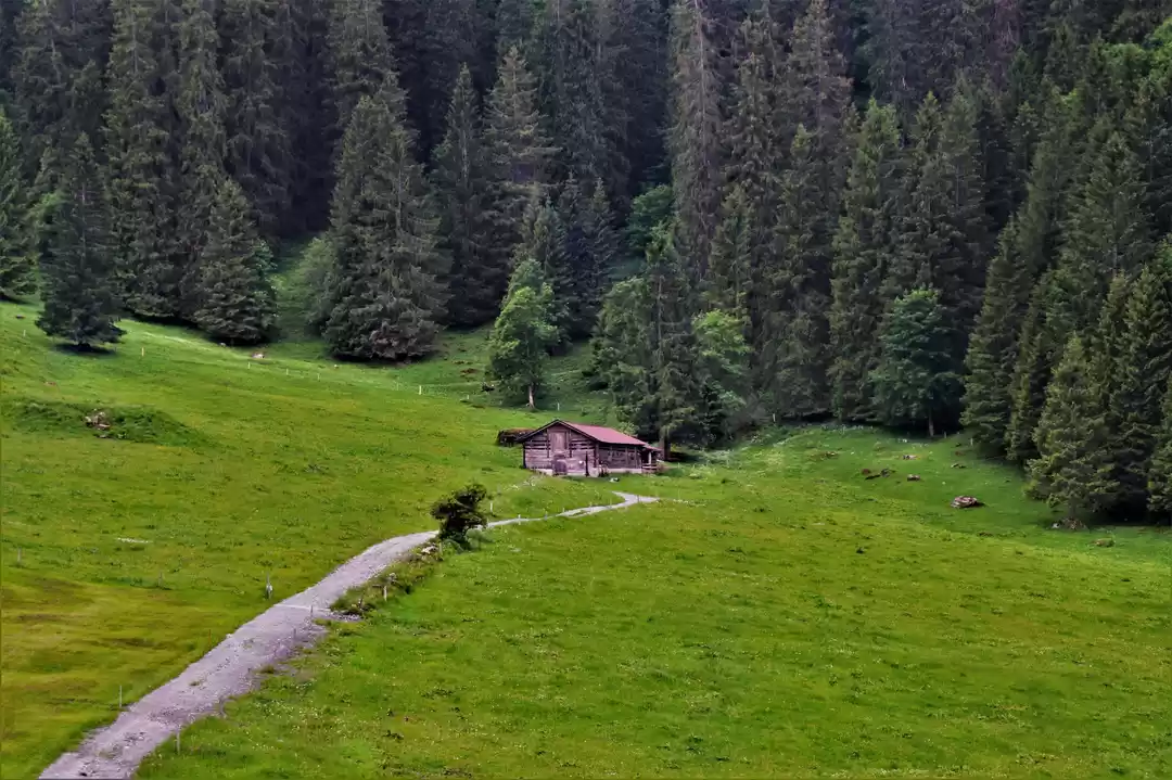 Photo of A Shed #colourgreen