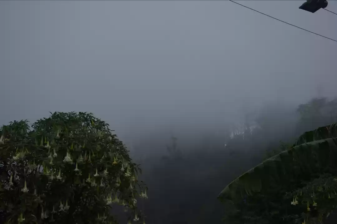 Photo of Kodaikanal: You can