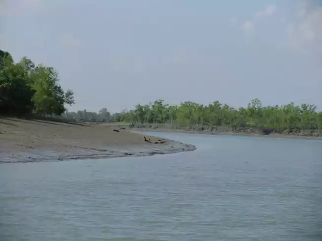 Photo of Royal Bengal Residen