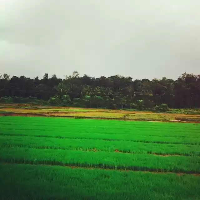 Photo of Calm, Serene and Div