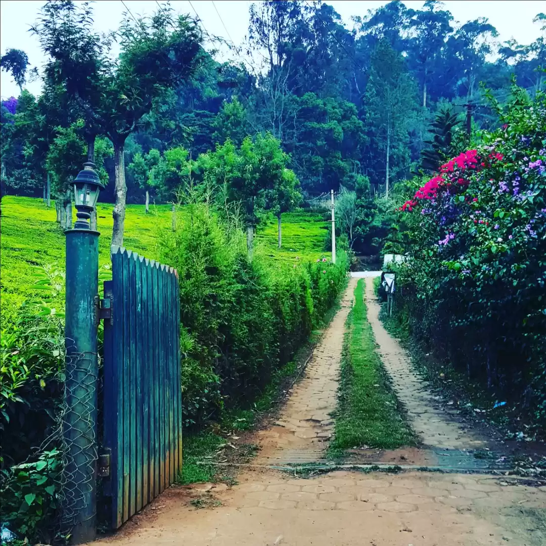 Photo of Discover the undisco