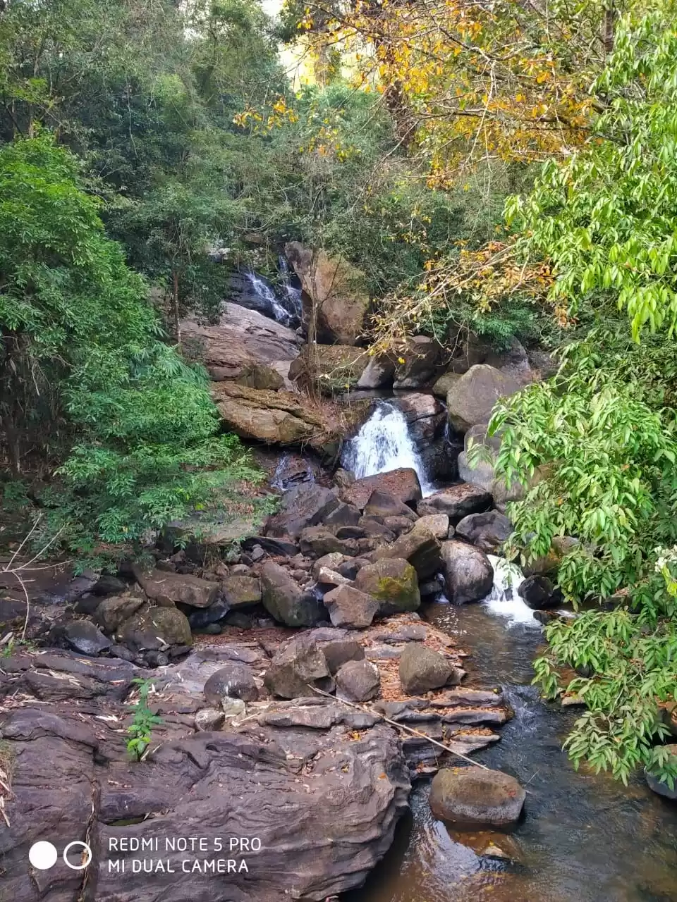 Photo of Idukki❤️