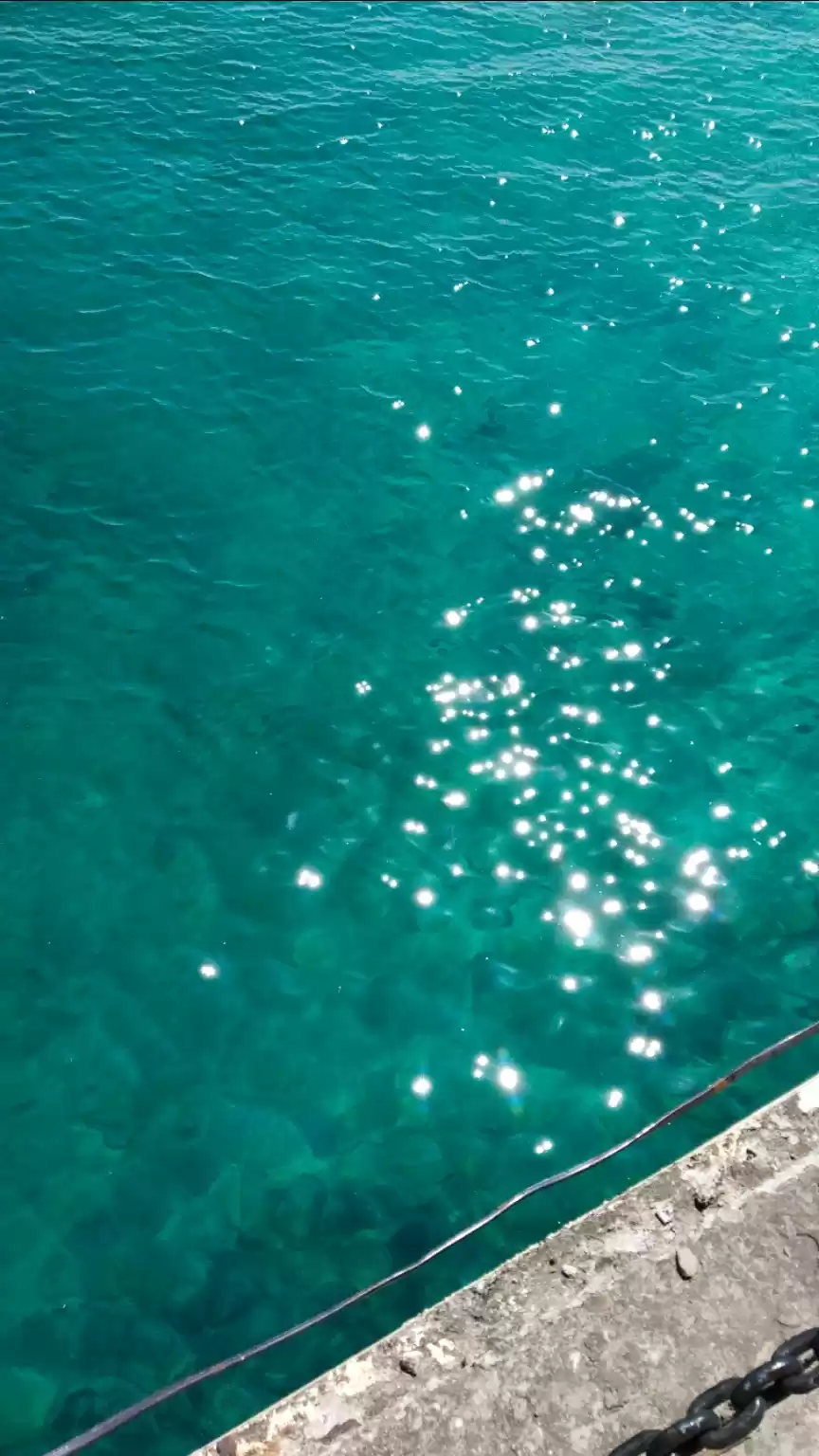 Photo of Amazing Andaman!