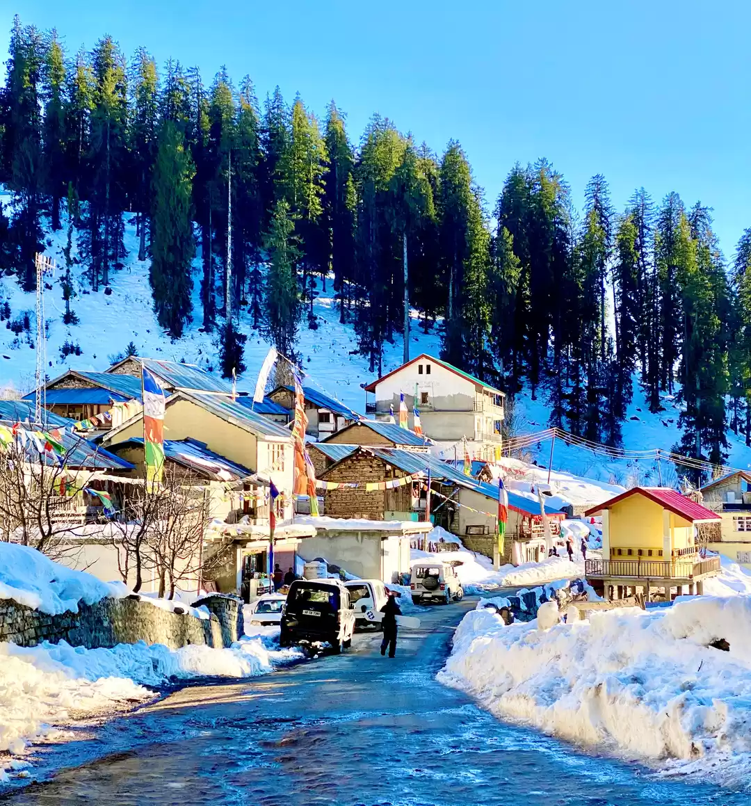 Photo of Sethan- saved our ba