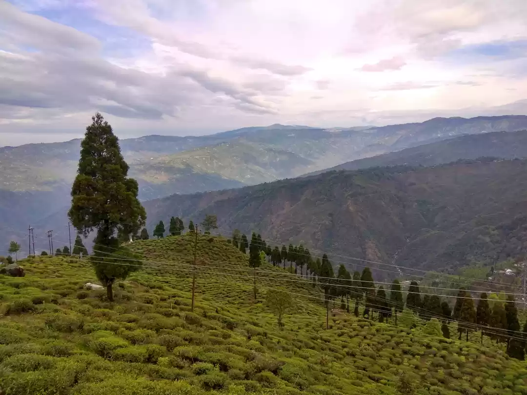 Photo of A SHORT TOUR TO DARJ