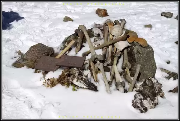 Photo of Roopkund – The mirro