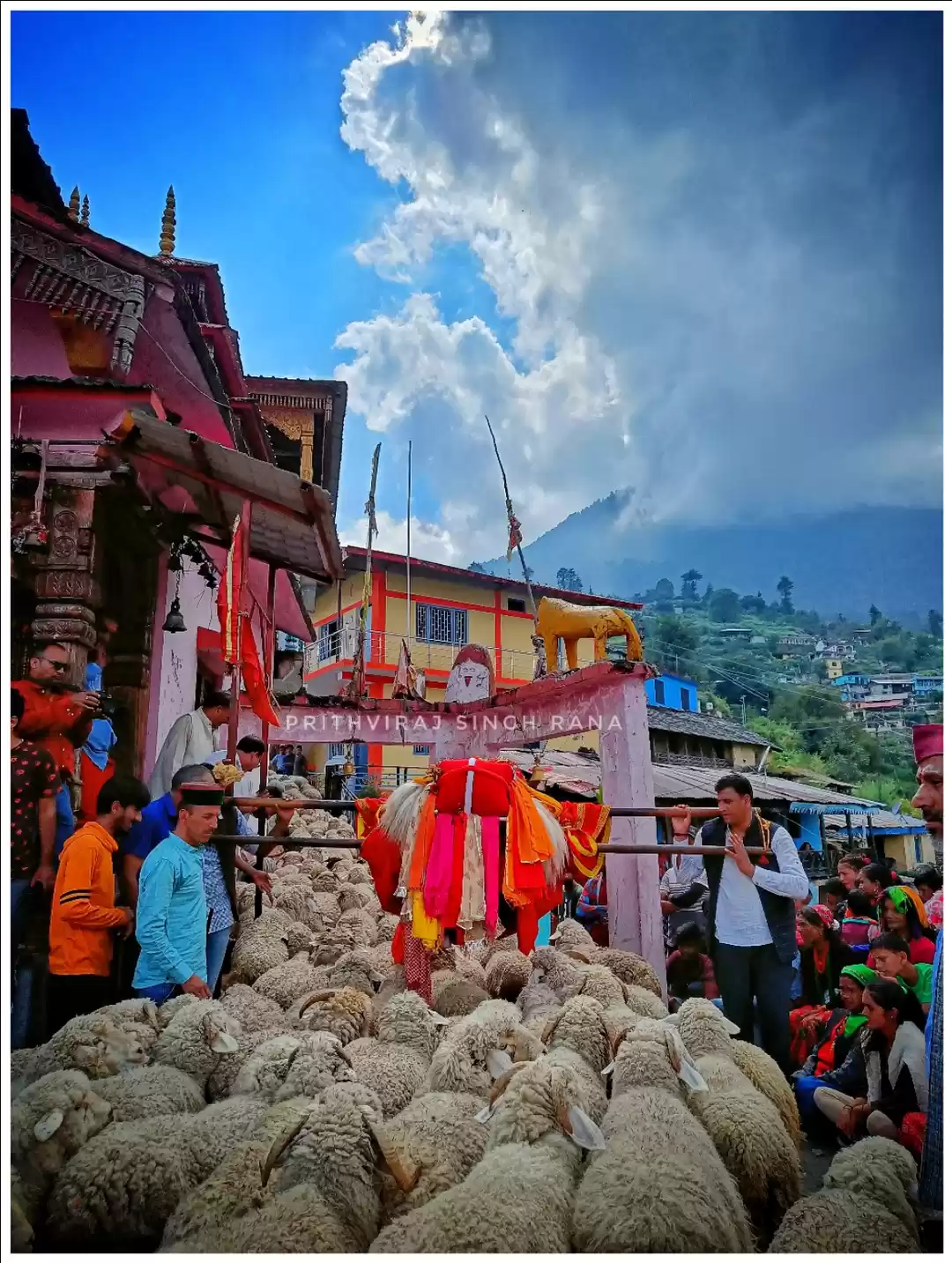 Photo of Goat Festival Raitha