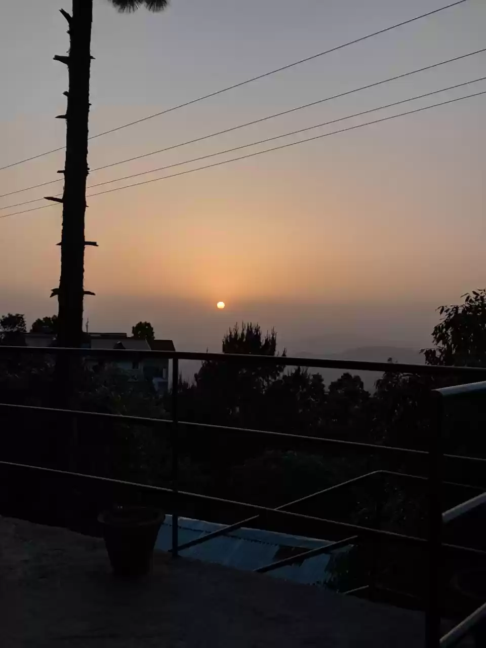 Photo of Mesmerising Majkhali