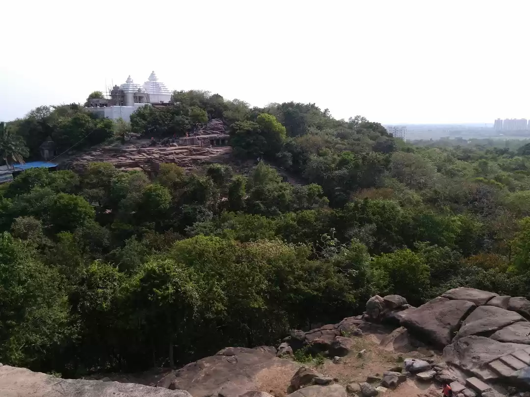 Photo of Braving Bhubaneshwar