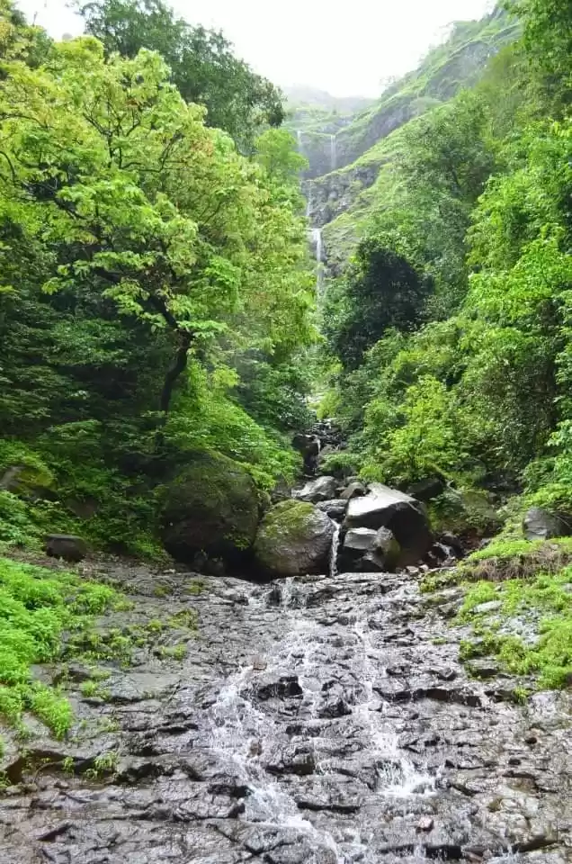 Photo of WILD LIKE WATERFALLS