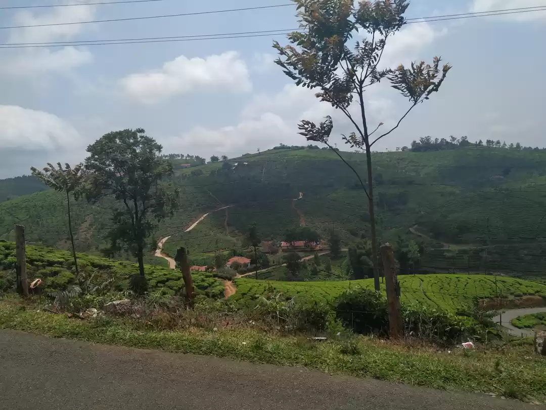 Photo of Parunthumpara - A sp