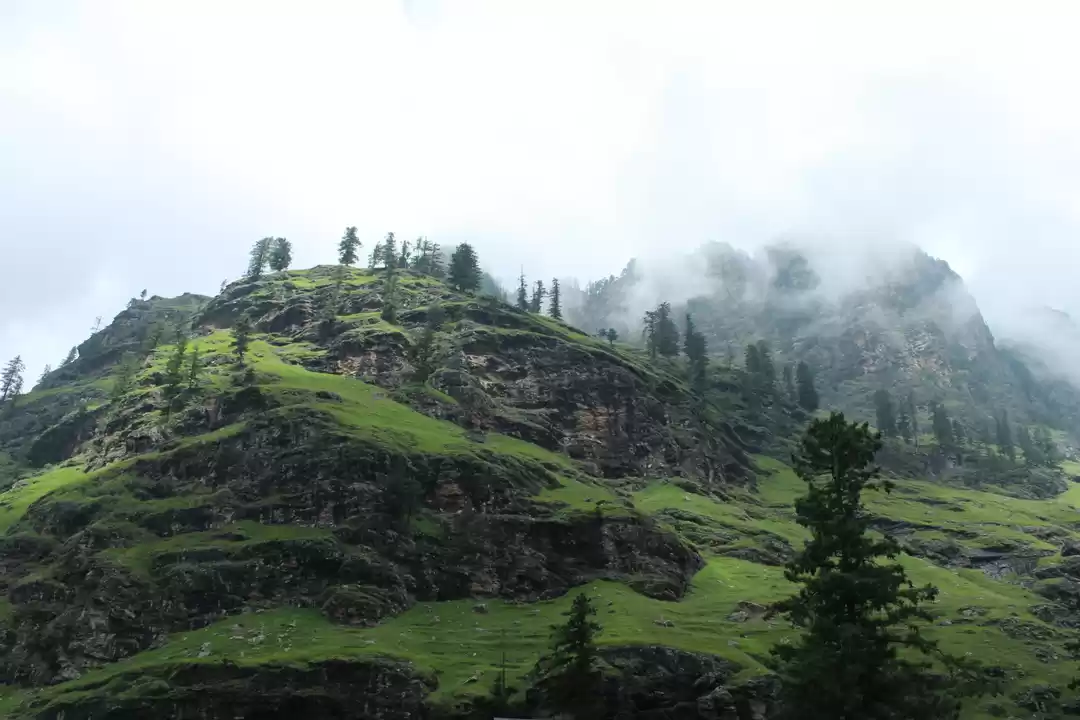 Photo of The Land of our Drea