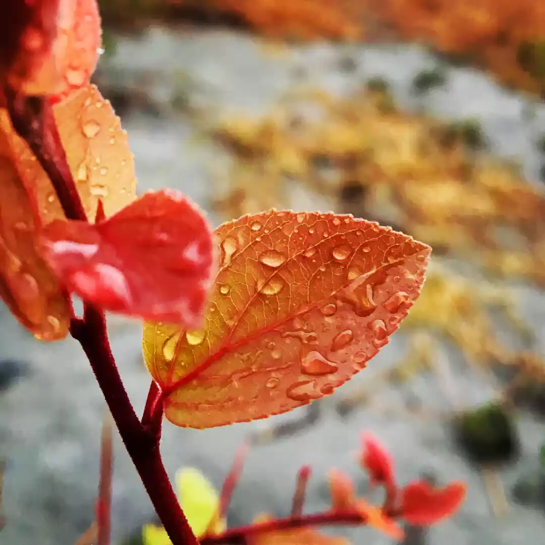 Photo of Beauty Of Nature Aft