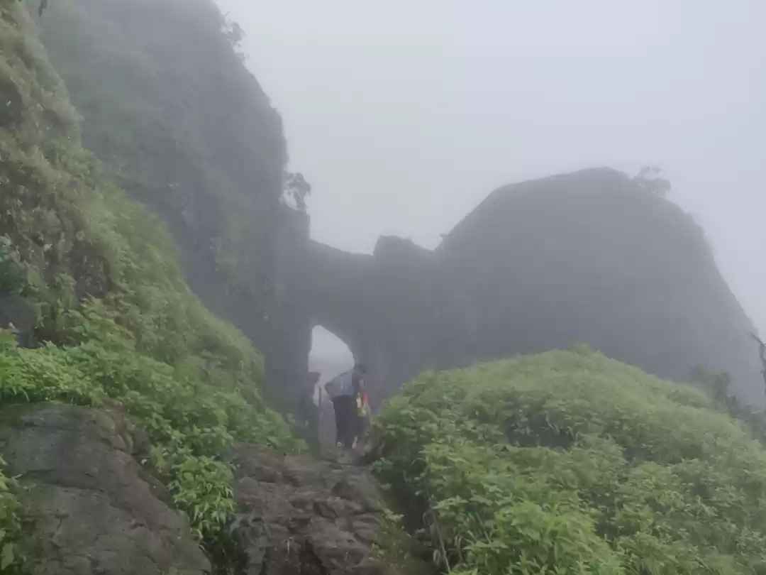 Photo of Rajgad fort or Sinha