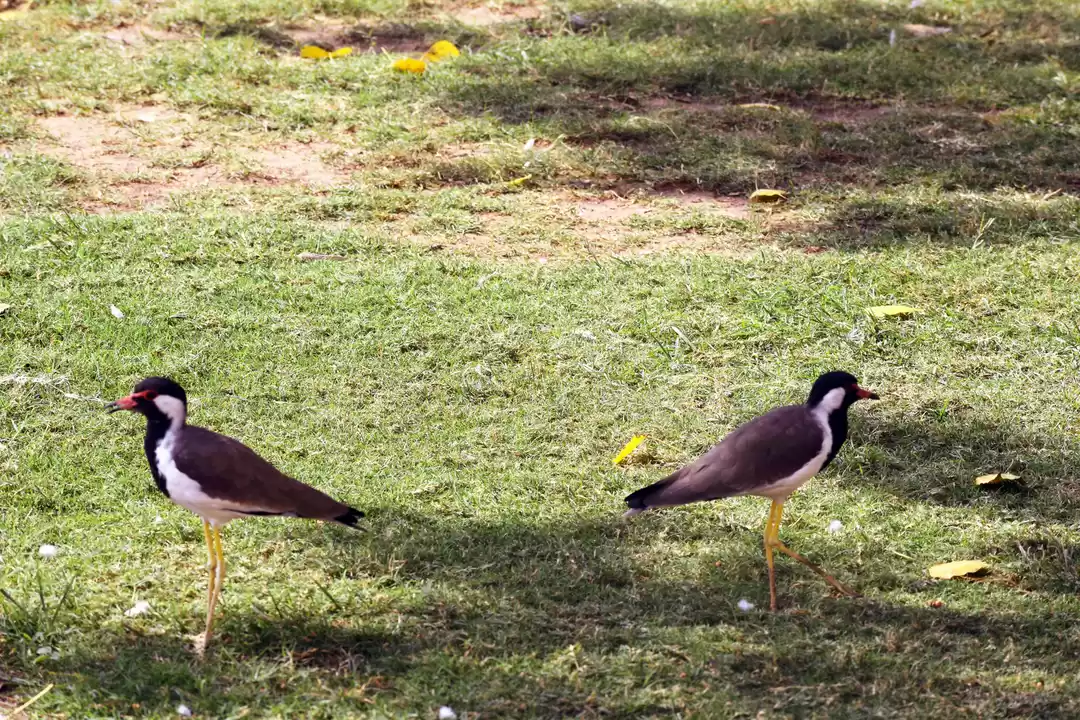 Photo of It's love all the wa