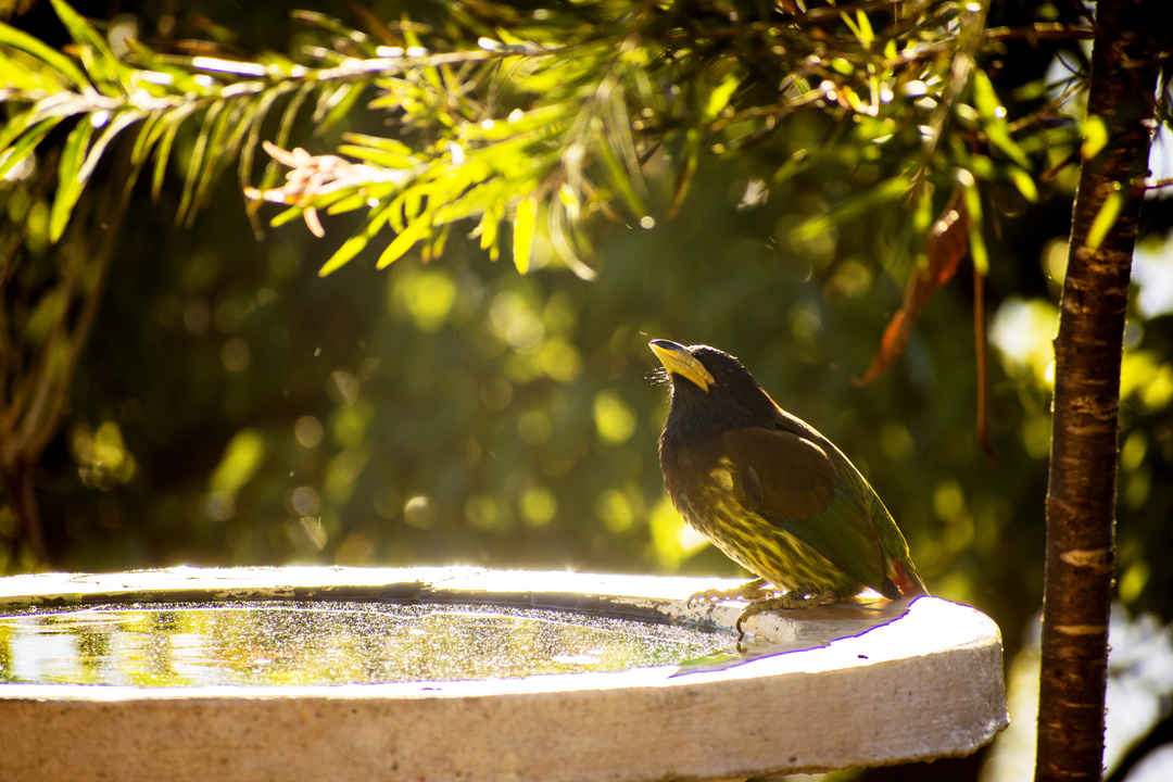 Drive To The Abode Of Lord Shiva Drive To Mukteshwar Offbeatuttarakhand Tripoto Letibunga village trail, mukteshwar, nainital, uttarakhand. drive to mukteshwar offbeatuttarakhand
