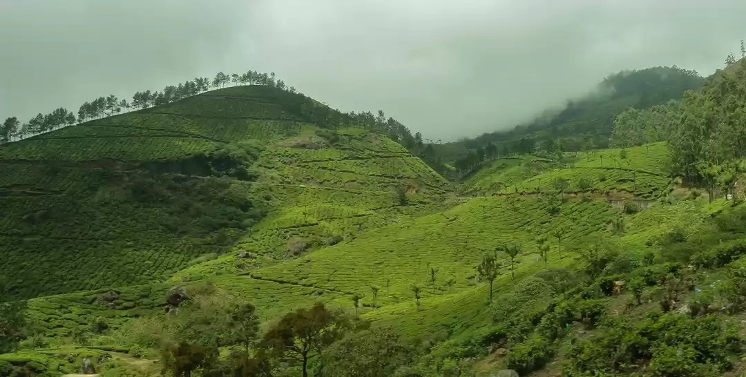 Photo of Why Kerala is called