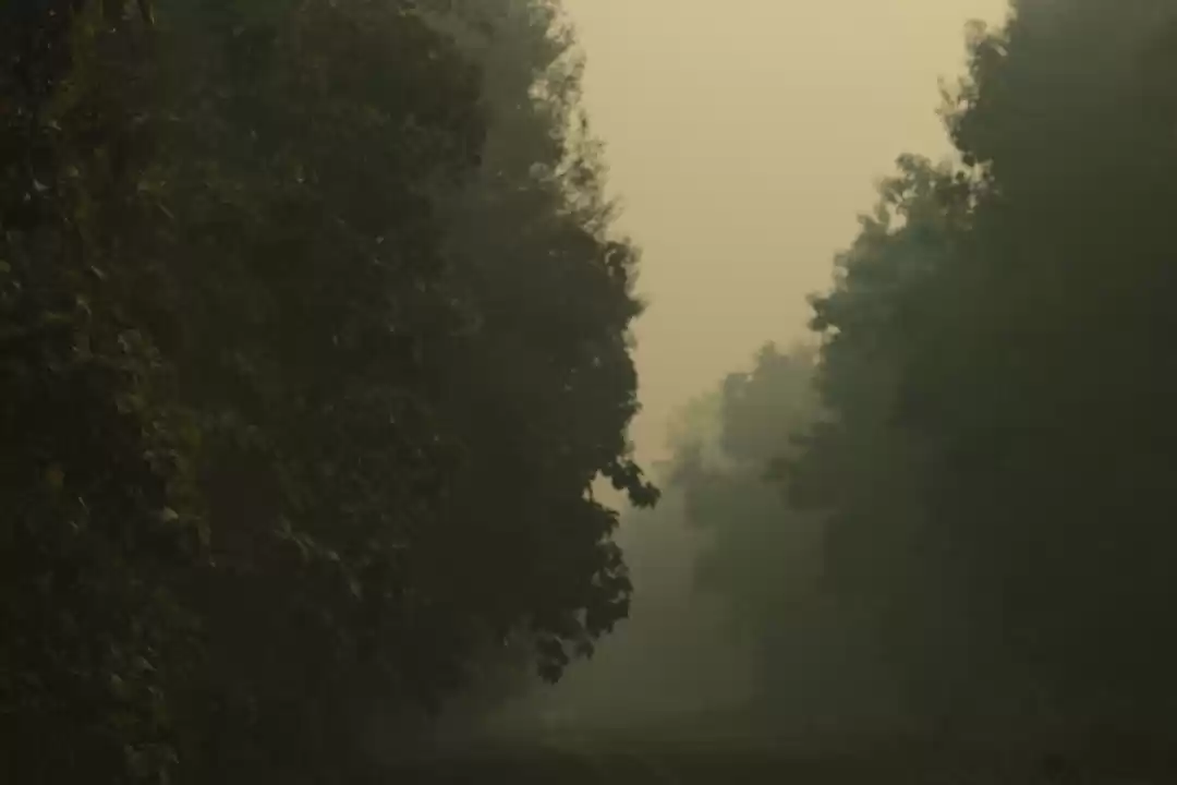 Photo of Most Underrated Nati