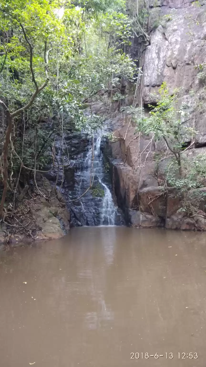 Photo of Amazing Trip