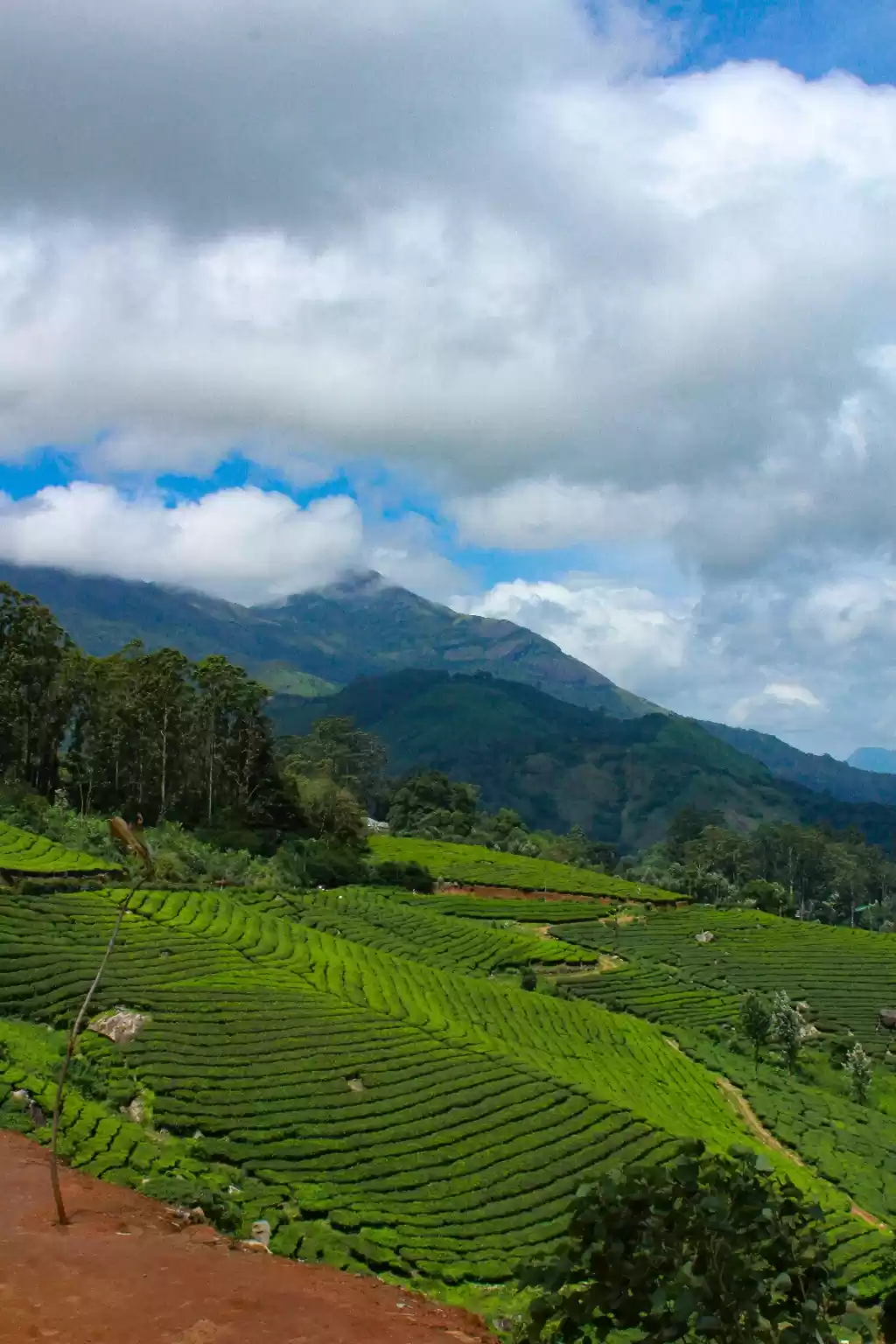 Photo of Kerala: During Monso