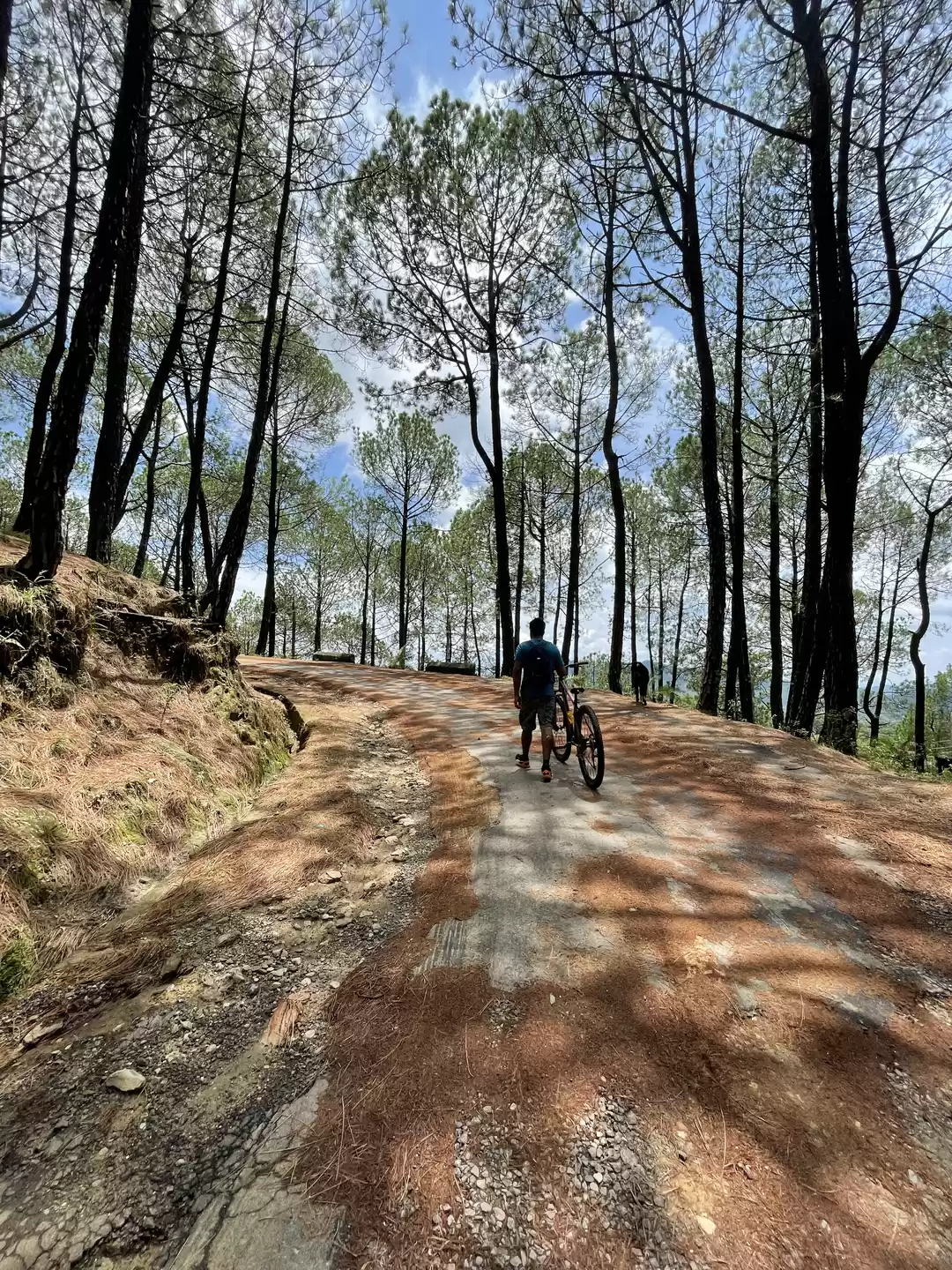 Photo of 6 Reasons Why Bir is