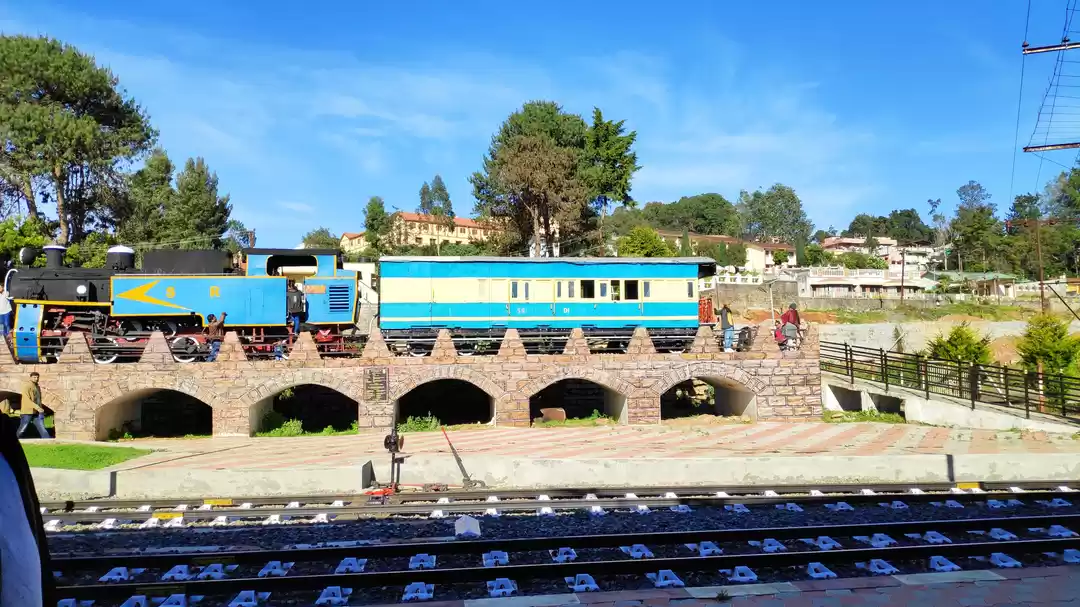 Photo of Nilgiri Mountain Rai