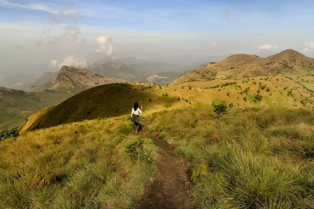 Photo of Meesapulimala, Trek